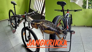 UNITED CLOVIS 5.00 UPGRADE HUB NAUTILUS CLICK R148 JANGKRIK BOSSSSS