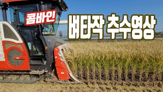 논농사 콤바인 추수(harvest-秋收) 영상 | 지구의 바리깡 콤바인