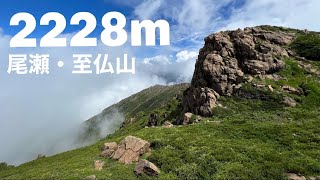 初夏の尾瀬 至仏山／やまのぼり旅〜鳩待峠・山の鼻・至仏山〜