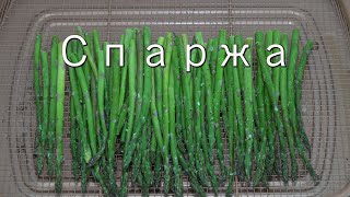 ASPARAGUS! Самая вкусная спаржа! Спаржа как приготовить. (4K Video)