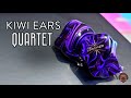 in-Ear Fetish Review \\ Kiwi Ears Quartet IEM