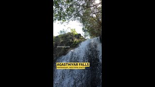 Agasthiyar Falls - Papanasam | Western Ghats | Explore Nature