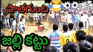 pathagunta jallikattu (పాతగుంట లో జల్లి కట్టు)