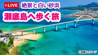 【沖縄オンライン観光】瀬底島へ歩く旅「沖縄旅行情報」