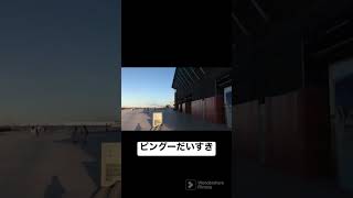 【横浜観光】鉄道の廃線跡を辿って横浜開港の歴史を学ぶ　より　ピングーの真似をする上澤健司