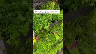 اسعار الخضروات في كندا 🇨🇦