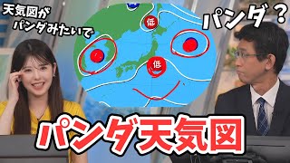 【小川千奈・山口剛央】せんちゃんが天気図がパンダに見えるというので天気図にパンダを描く山口さん【ウェザーニュース切り抜き】