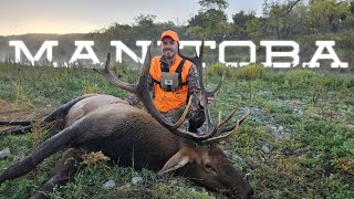 MANITOBA ELK HUNT!! (RUTTING BULLS)