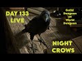 Night Crows Day 133 Guild Dungeon at World Dungeon Lets G! Paldo na naman ang Leader