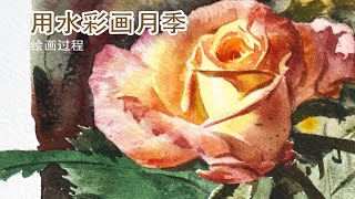 水彩玫瑰 - 用水彩画一朵月季花