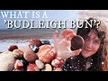 Budleigh (Easter) Buns! Our first Rockhounding + Rock Hunting Video!