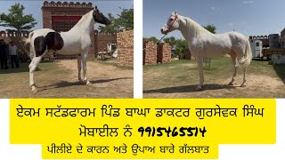 Ekam stud farm village baga District Bathinda Dr Gursewak Singh Mob No 9915465514