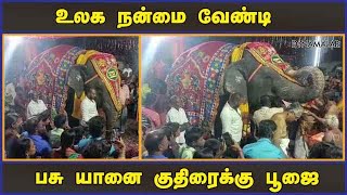 செம்மங்குடி அகஸ்தீஸ்வரர்  திருக்கல்யாணத்தில் சிறப்பு வழிபாடு | Tiruvarur | Dinamalar