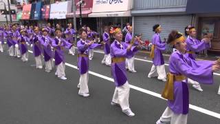 2014年　「　陣　」　第６１回よさこい祭り（２日目）万々