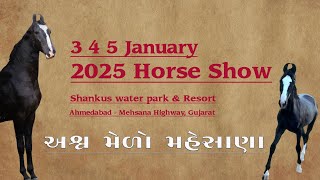 2025 Mehsana Horse Show અશ્વ મેળો મહેસાણા #mehsana