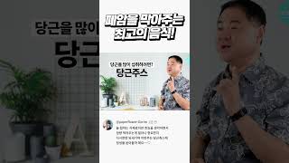 당근 이렇게 먹으면 폐 속 암세포 60% 사라졌다!