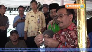 28 Juli 2017 Gub Djarot S. Hidayat Meninjau persiapan Lebaran Betawi