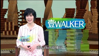 壹Walker-第352集壹Walker逗陣行