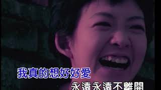 鍾漢良 貪玩的情人 (Official Video Karaoke)