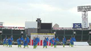 安倉おきゃん　第1回よさこい甲子園　甲子園球場会場2010年12月23日