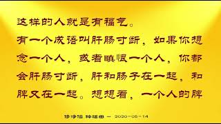 修净信 种福田——摘录卢台长讲述于观音堂2020 05 14