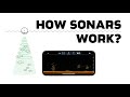 Everything You Need to Know About How Sonars Work