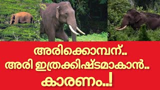 ഈ കാരണം കൊണ്ടാവാം അരിക്കൊമ്പൻ ഭക്ഷണം നശിപ്പിക്കുന്നത്..? |arikomban |chinnakkanal