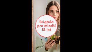 Není ti ještě 15, ale chceš najít brigádu?