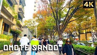 【4K HDR】 Omote Sando Street Walk in Tokyo, Japan