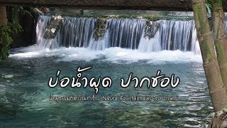 น้ำพุธรรมชาติบ้านท่าช้าง จ.นครราชสีมา (Natural Fountain, Ban Tha Chang)