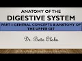 ANATOMY OF THE DIGESTIVE SYSTEM PART I - GENERAL ORGANIZATION & ANATOMY OF THE UPPER GIT