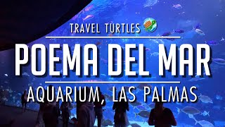 Poema Del Mar Aquarium Tour | Las Palmas, Gran Canaria