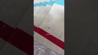 Cockroach Visits the Met Gala 2023 Red Carpet! #shorts