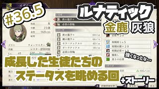 【FE風花雪月】EP.22番外 出撃前ステータス+ストーリー 金鹿\u0026灰狼学級でルナティック引き継ぎ無し【プレイ動画】