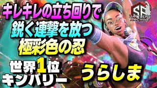 【世界1位 極･キンバリー】武神流 参るッ！色も技も鮮やかに軽快なれんげきを鋭く叩き込む うらしまキンバリー  ｜ うらしま (キンバリー) vs ディージェイ , 豪鬼 , リュウ  【スト6】