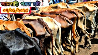 ০৭/০২/২৫/ #হাড্ডিসার গরুর দাম দর জানুন আমবাড়ি গরুর হাট haddi gorur dam #cow দাম