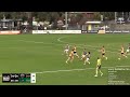 harry demattia talent league round 17