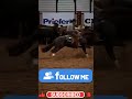 🤠 bold cowboy steals the show cutting horse competition highlights 🐎🔥horse whispers horse videos