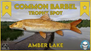 COMMON BARBEL 2x TROPHY SPOT! AMBER LAKE - Russian Fishing 4 #rf4