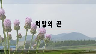 희망의 끈 - 어려울수록 희망의 끈을 놓치 말아야