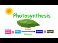 Photosynthesis ( including definitions, equation, light and factors)