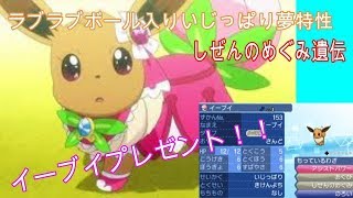 ポケモンUSUM　ラブラブボール入り夢特性しぜんのめぐみ遺伝イーブイプレゼント