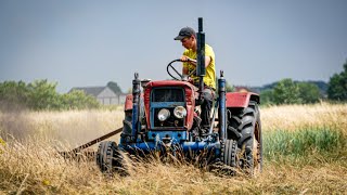 Sianokosy w polskim klimacie ciapkiem [c330] | GR Łaptuta