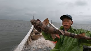 阿雄顶着风雨出海捕鱼，竟遇上凶猛鲨鱼上网，这一条就值好几百块