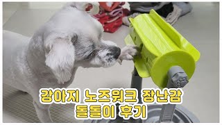 강아지 노즈워크 장난감 IQ훈련 돌돌이 후기 (dog nose walk toy) - 주몽이