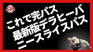 【これで完パス】最新版VSデラヒーバニースライスパス【かなり細かく説明】