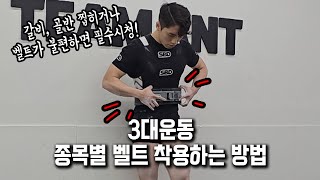 리프팅벨트가 찝히고 걸려서 힘들어하는 당신을 위한 영상