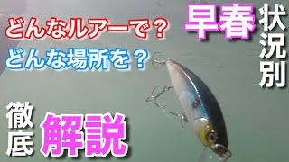 【１５分で学ぶ 早春のバス釣り】早春の狙うべき場所と、それにマッチしたルアーセレクトの基準を状況別に解説。【水の旅＃ ３８】