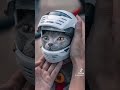 cats helmets