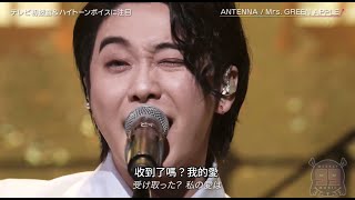 Mrs. GREEN APPLE「Antenna」中日歌詞 ｜中文翻譯｜日繁中字